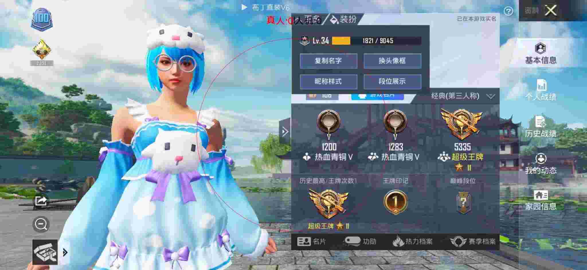和平精英布丁直装透视 - 和平辅助店卡包效果图大全辅助预览图